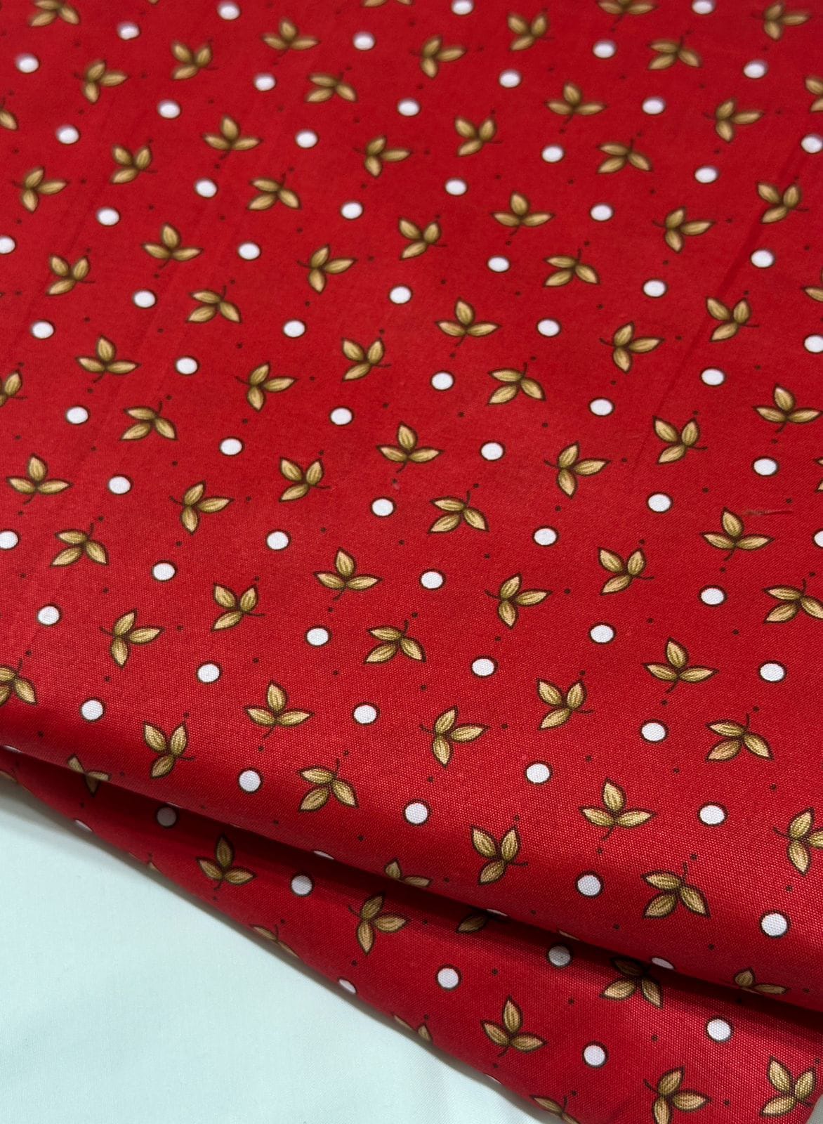 Cotton printed 2 pc
