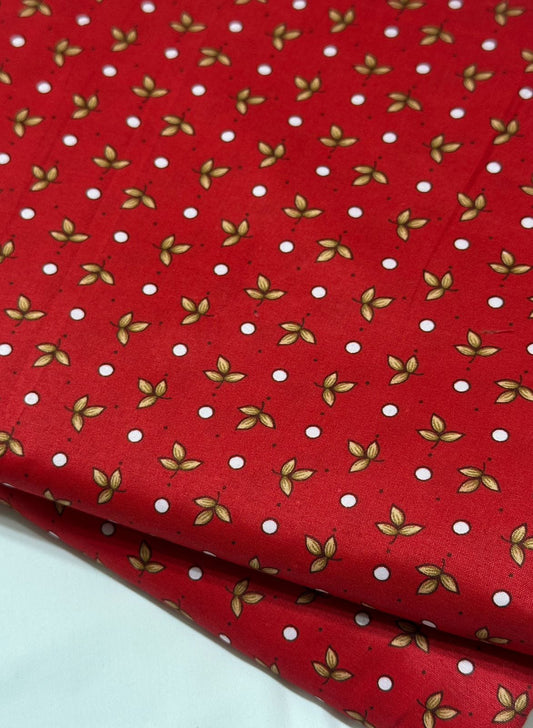 Cotton printed 2 pc